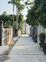 bán đất 107m thôn kinh lương, tân minh tiên lãng, hải phòng | đường ô tô, sổ đỏ, giá 9xx triệu