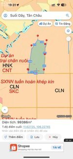 BÁN ĐẤT CHỦ TRƯƠNG TRANG TRẠI NUÔI GÀ THỊT TẠI SUỐI DÂY TÂN CHÂU TÂY NINH (BĐTT09)