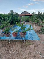 xây farm, trang trại nghĩ dưỡng, đất tại khánh phú, khánh vĩnh, khánh hòa, 2625.2 m2, full nội thất