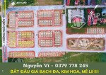ban đất đấu giá bạch kim hoa hn, 110m, mt5m, sổ đỏ, giá 5.5 tỷ, kinh doanh, rẻ nhất.