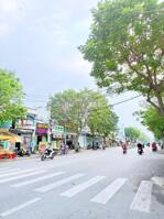 3000M2 Đất Mặt Tiền Cạnh CV Đầm Sen, Chưa Đến 100tr/m2