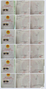 bán nhanh nhiều nền có sổ làng sen việt nam chỉ từ 890 triệu / 84.8m2