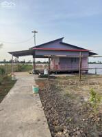  Bán Đất Đã Lên Vườn Mặt Tiền Tây An Bờ Hồ, Mỹ Thới