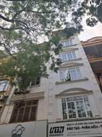 siêu phẩm mặt phố nguyễn cảnh dị - kđt đại kim định công- hoàng mai - kinh doanh vip- giá 30 tỷ