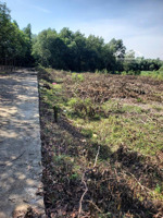 cần tiền bán lỗ xã minh thành, chơn thành, bình phước, 5x40