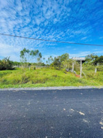 1t1-155m2-kèo thơm củ chi - chủ ngộp cần ra gấp lô đất full thổ cư - giá rẻ nhất khu vực