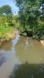 đất 7000m2 phủ hồng đất ở mua thổ cư thoải mái, suối chảy trước đất