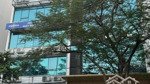 bán nhà mặt phố ngọc khánh, dt 110m2 x 9 tầng, mặt tiền 9m, lô góc, thuê 200 tr/ thế, giá 75 tỷ.