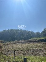 đất nghỉ dưỡng view đồi thông chỉ 2,4 tỷ cách đà lạt 27km khí hậu mát mẻ quanh năm diện tích