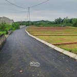 giá sốc cho người mua nhanh chỉ 195tr/lô tại lạc thủy hòa bình