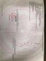 tìm chủ mới cho mảnh đất vườn 910m2 ở trung hòa, chợ gạo, tiền giang với giá cực kỳ rẻ