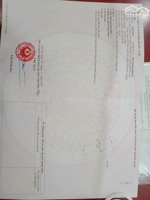 bán đất nguyễn du, thường tín, hà nội.