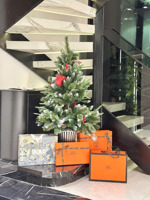 mặt tiền nguyễn tri phương có thang máy nôi thất cao cấp