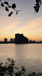 cần bán nhà mặt phố nguyễn biểu quận ba đình thành phốhà nội dt50m2 x5 tầng ô tô tránh vỉa hè rộng