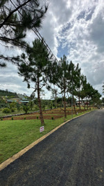 bán đất tại xã lộc phú, 350 triệu, 110m2, mặt tiền 5m