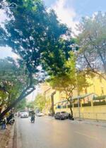 NHANH CÒN KỊP NHÀ CỬA BẮC PHỐ VIP BA ĐÌNH GIÁP RANH HOÀN KIẾM KD VỈA HÈ Ô TÔ TRÁNH 5 TỶ