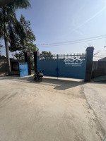 cho thuê xưởng 1100m2. ấp rừng sến. mỹ hạnh bắc. đức hoà long an