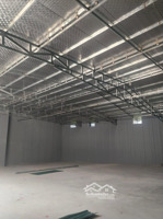cho thuê kho dt 500m2 giá chỉ 10tr ở tràng minh, kiến an xe tải to đi lại