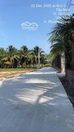 đất làm nhà vườn cực ki đẹp nằm trong khu dân cư đông kín. 1426 m2. chỉ với 850tr. gò dầu tây ninh