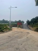 chính chủ cần bán đất làm trang trại tại kim long - tam dương - vĩnh phúc