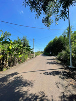 bán đất 139m2 tại đá bạc, châu đức, bà rịa vũng tàu, giá 550 triệu