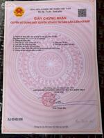 Bán đất Minh Tân - Kiến Thụy - Hải Phòng