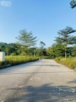 Bán lô Vân Hội City, Đồng Tâm, Vĩnh Yên. DT 100m2