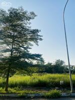 Bán đất Vân Hội City, Đồng Tâm giá 2,67 tỷ. LH 0399.566.078