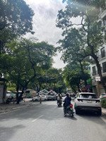 p/lô ô tô tránh nguyên hồng dt 43m, mt 5.2m, nhỉnh 18 tỷ, phố vip ,kd đỉnh cao