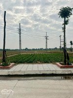 bán đất đấu giá cống đầm cực đẹp, đại xuyên phú xuyên