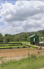 bán gấp 2ha đất mặt tiền trường sơn mđrắk | giá chỉ 8 tỷ