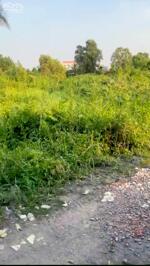 4045m2 có 3950m2 thổ cư 1/đường 177-Bình Mỹ-Củ Chi.36ty