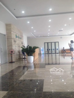 cho thuê căn hộ chung cư cao cấp ecolife tây hồ (sát đường hoàng quốc việt)