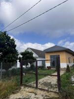 Ngộp ngân hàng bán thanh lý gấp! đất hẻm 02 Tản Đà - Phường 1 Bảo Lộc, Bảo Lộc