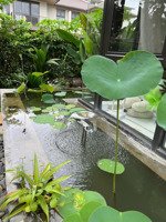 biệt thự full nội thất khu chuyên gia cho thuê tốt sổ hồng 9 tỷ