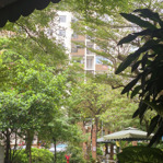 bán shophouse cc an hoà - dt: 100m2 - 3pn - 2wc giá: 7,5ty sổ hồng sẵn