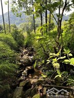 chính chủ bán mảnh vườn đẹp view hồ trị an, đảo ó gần đức mẹ núi cúi