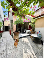 biệt thự mini 130m2 oto thông tứ phía, giá 7.8 tỷ ngay đh tài chính, võ văn hát