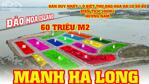 Bán gấp ô đất biệt thự Đảo Hoa Island Hạ Long đã có sổ đỏ 300m2 hướng Nam, giá 60 triệu/m2
