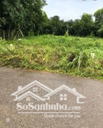 đất an nhơn tây diện tích 4.010m² vị trí đẹp, giá hợp lý