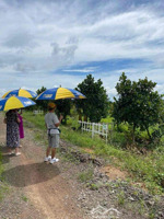 sở hữu đất vườn có sẵn cây ăn trái 1000m² chỉ 690 tr, gần kcn định quán, view hồ trị an