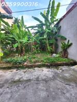 Bán Lô Đất Vị Trí đẹp ÔTÔ Đậu Cửa Việt Hùng, Đông Anh, Hà Nội