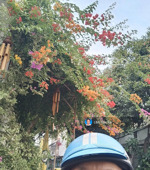 đệ nhất hẻm đẹp, bán nhà luỹ bán bích, tân phú, lô góc, 4x15.2m, chỉ 8.35 tỷ