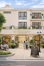 siêu hot! biệt thự liền kề shophouse mặt tiền 6m. giá tốt nhất dự án. nằm trên trục hoàng gia