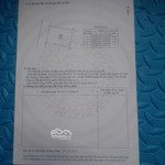 tráng việt mê linh | 81,9m²| giá chỉ 62 triệu/m² đón sóng đại lộ ven sông-cầu thượng cáthồng hà