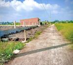 bán lô thổ lúa 1960m2 có 8x25 thổ mt đường 3m cách tl833b 1km Xã Nhựt Tảo Tỉnh Tây Ninh