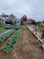 bán 91m2 đất phân lô giá f0, thư phú, thường tín, trung tâm khu c kđt thể thao olympic, gần vđ4.