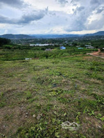 bán đất mê linh view thung lũng đường ô tô, vị trí: xã mê linh, cách đà lạt 22km