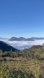 lô đất hiếm tại ô quy hồ mặt tiền siêu rộng view đỉnh fansipan giá rẻ hơn khu vực