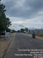 Lô thổ cư mặt tiền 704 cách quốc lộ 200m